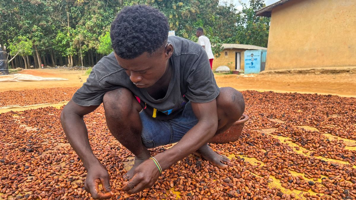 Čokoláda zdraží. Ceny kakaa na burze rostou nejvíc za třicet let